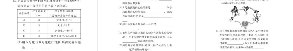（广西玉林地区）中考生物 专题综合突破 专题三 生物圈中的绿色植物课件-人教级全册生物课件