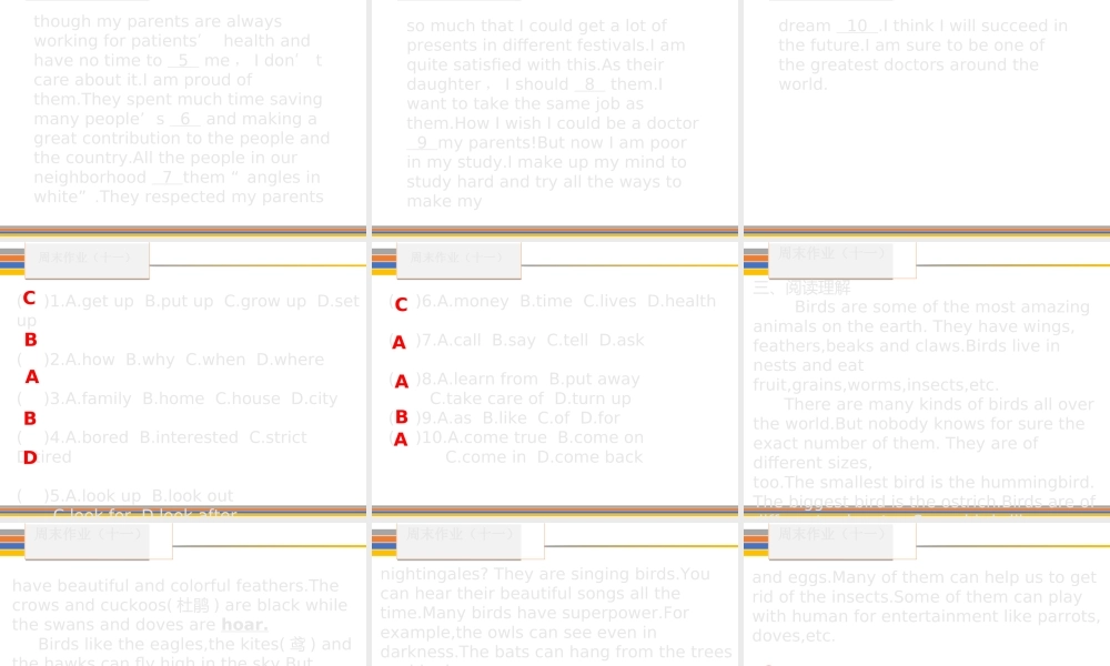 （新课标）广东省中考英语总复习 周末作业（十一）课件 人教新目标版-人教新目标版初中九年级全册英语课件
