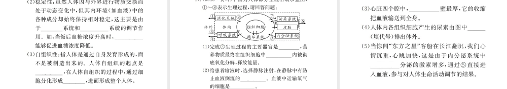 （广西玉林地区）中考生物 专题综合突破 专题四 生物圈中的人课件-人教版初中九年级全册生物课件