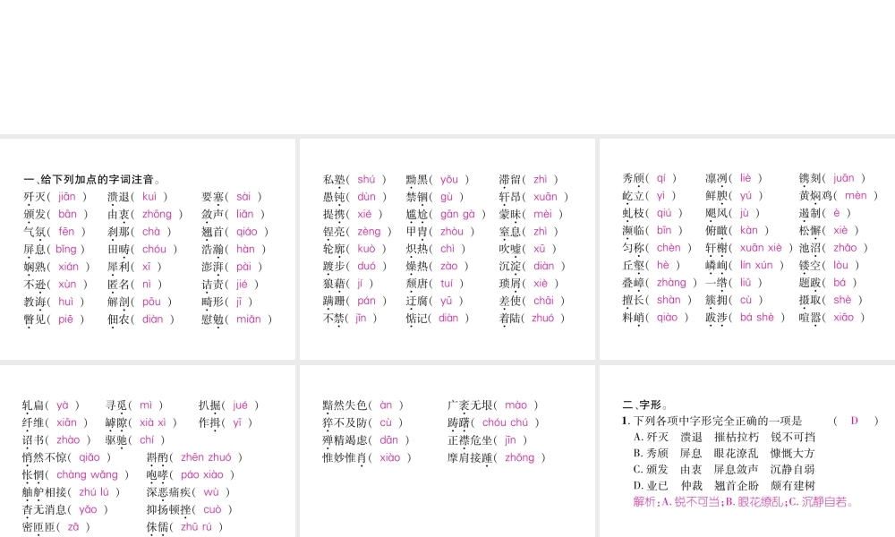 （毕节专版）八年级语文上册 专题1 拼音与汉字习题课件 新人教版-新人教版初中八年级上册语文课件