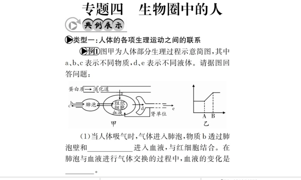 （广西玉林地区）中考生物 专题综合突破 专题四 生物圈中的人课件-人教级全册生物课件