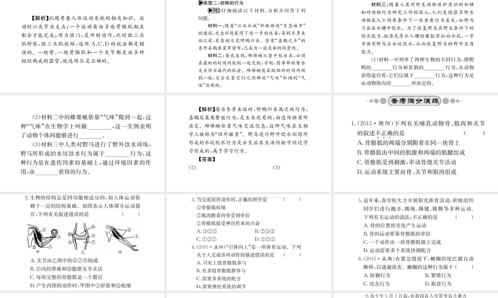 （广西玉林地区）中考生物 专题综合突破 专题五 动物的运动和行为课件-人教版初中九年级全册生物课件