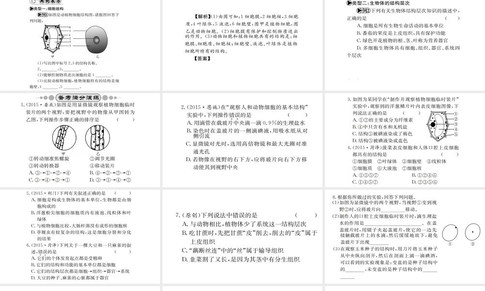 （广西玉林地区）中考生物 专题综合突破 专题一 生物体的结构层次课件-人教版初中九年级全册生物课件