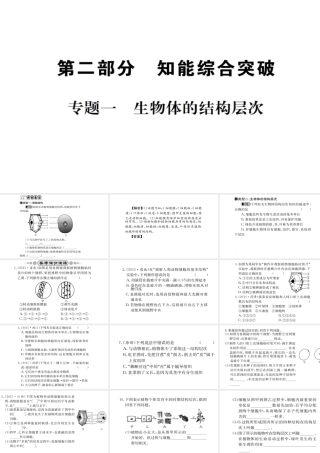 （广西玉林地区）中考生物 专题综合突破 专题一 生物体的结构层次课件-人教版初中九年级全册生物课件
