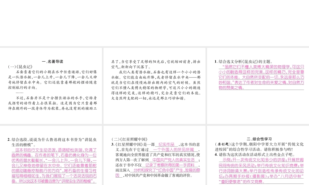 （毕节专版）八年级语文上册 专题5 名著导读与综合性学习习题课件 新人教版-新人教版初中八年级上册语文课件
