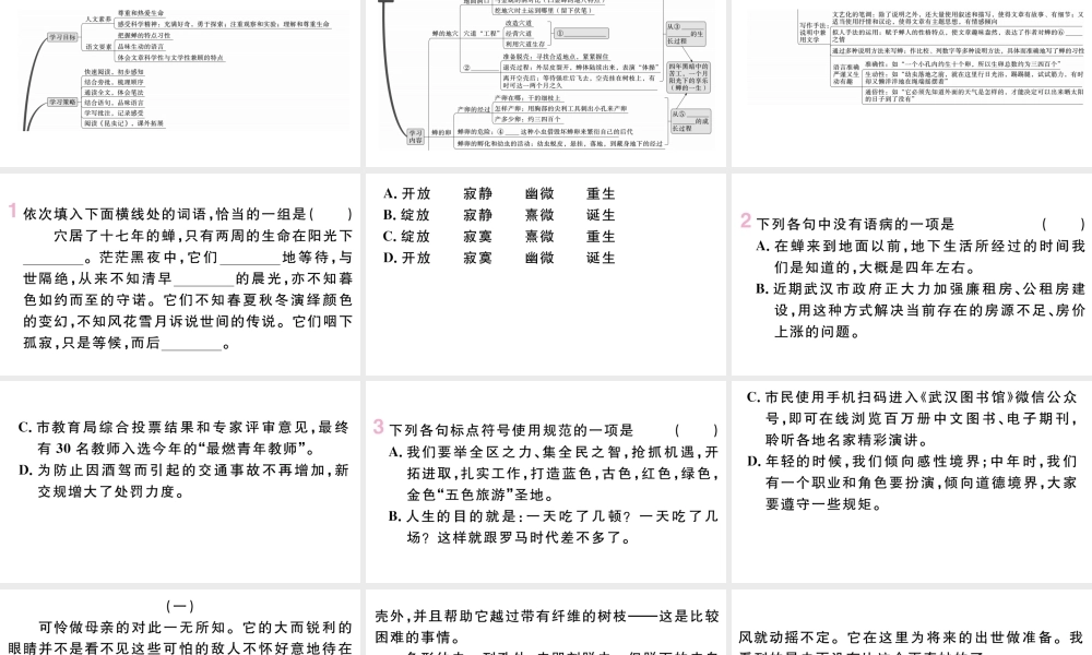 （武汉专版）八年级语文上册 第五单元 20 蝉课件 新人教版-新人教版初中八年级上册语文课件