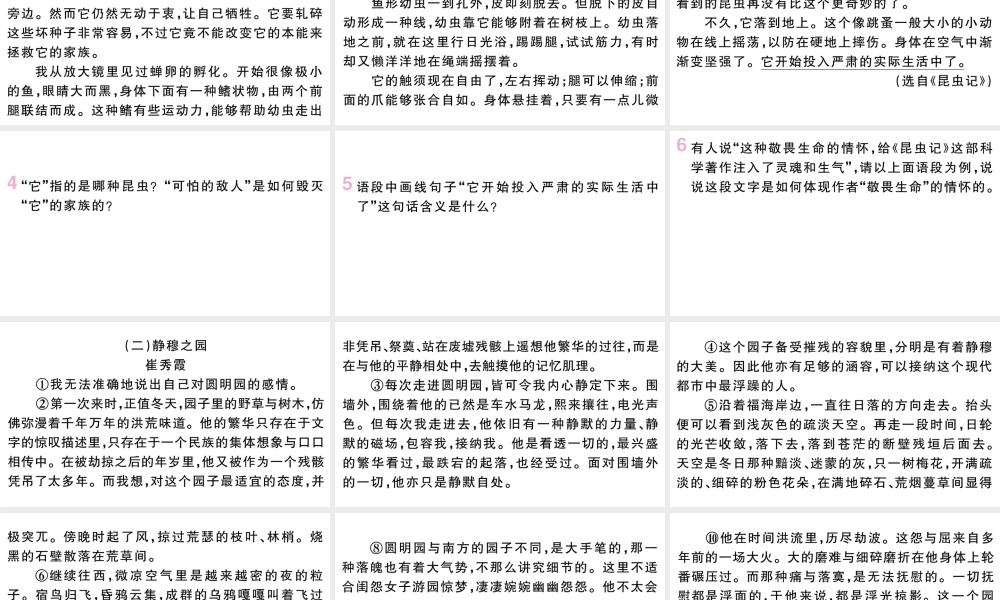 （武汉专版）八年级语文上册 第五单元 20 蝉课件 新人教版-新人教版初中八年级上册语文课件