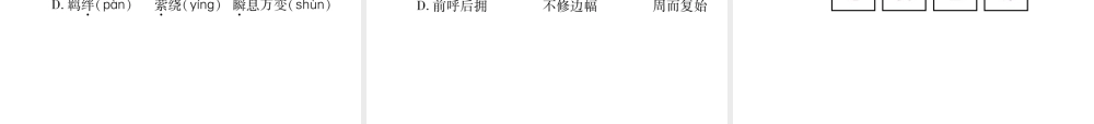 （毕节专版）八年级语文下册 专题1 字音、字形课件 新人教版-新人教版初中八年级下册语文课件