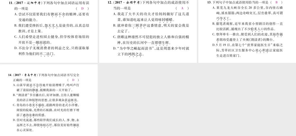 （毕节专版）八年级语文下册 专题2 词语的应用课件 新人教版-新人教版初中八年级下册语文课件