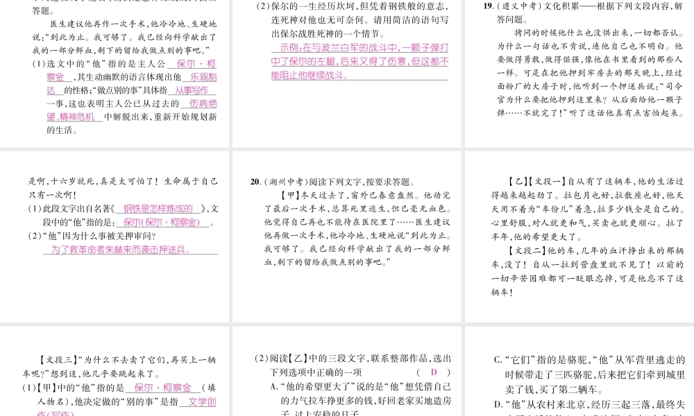 （毕节专版）八年级语文下册 专题5 文学常识与名著课件 新人教版-新人教版初中八年级下册语文课件