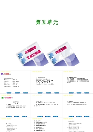 （柳州专版）中考语文 教材梳理 八下 第五单元复习课件-人教版初中九年级全册语文课件
