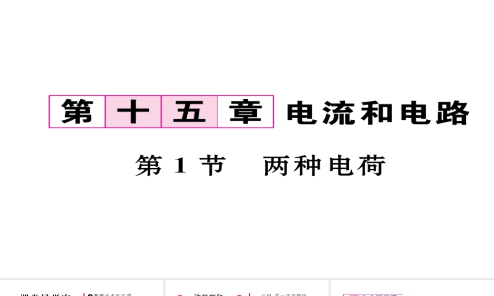 （毕节专版）九年级物理全册 第15章 第1节 两种电荷作业课件 （新版）新人教版-（新版）新人教版初中九年级全册物理课件