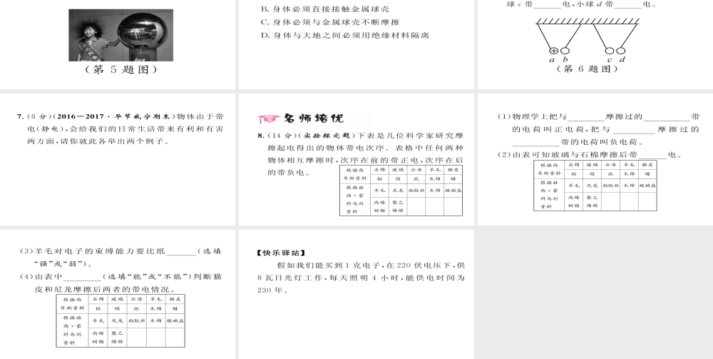 （毕节专版）九年级物理全册 第15章 第1节 两种电荷作业课件 （新版）新人教版-（新版）新人教版初中九年级全册物理课件