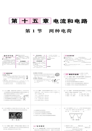 （毕节专版）九年级物理全册 第15章 第1节 两种电荷作业课件 （新版）新人教版-（新版）新人教版初中九年级全册物理课件