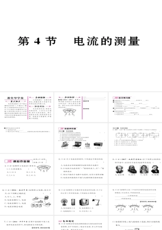 （毕节专版）九年级物理全册 第15章 第4节 电流的测量作业课件 （新版）新人教版-（新版）新人教版初中九年级全册物理课件