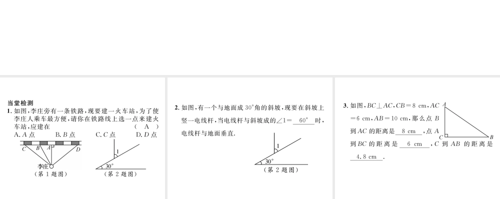 （毕节专版）七年级数学下册 第2章 相交线与平行线 课题二 垂线及性质当堂检测课件 （新版）北师大版-（新版）北师大版初中七年级下册数学课件