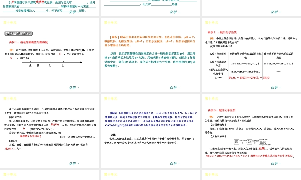 （新课标）九年级化学下册 第十单元 酸和碱同步课件 （新版）新人教版