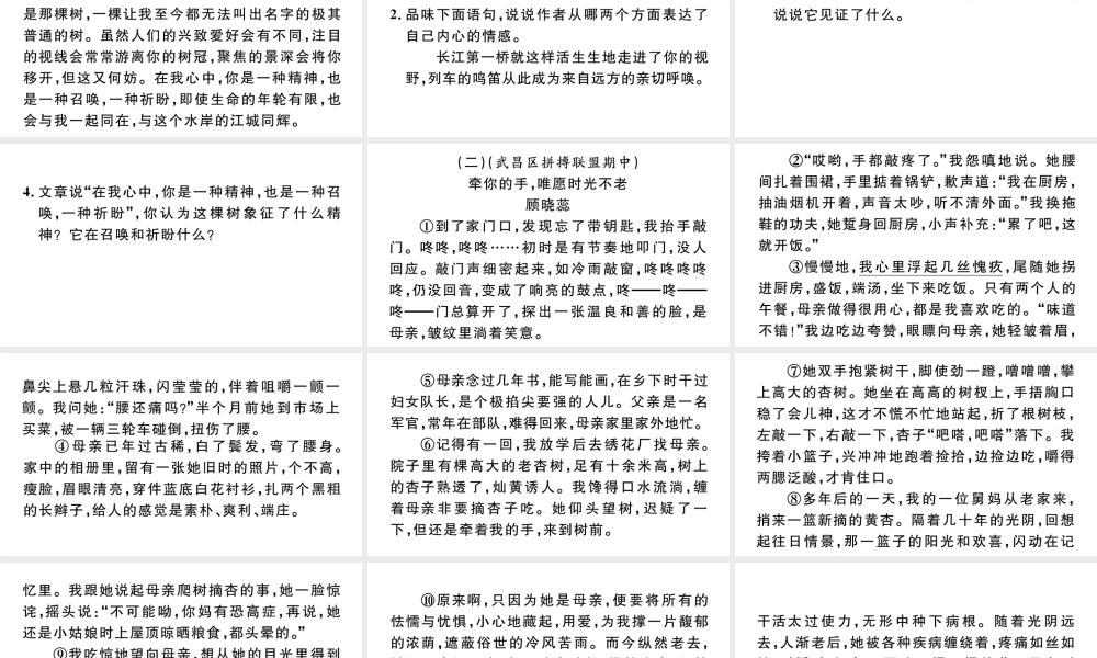 （武汉专版）八年级语文上册 专题八 文学类文本阅读课件 新人教版-新人教版初中八年级上册语文课件