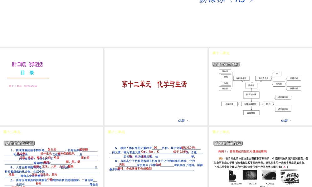 （新课标）九年级化学下册 第十二单元 化学下册与生活同步课件 （新版）新人教版