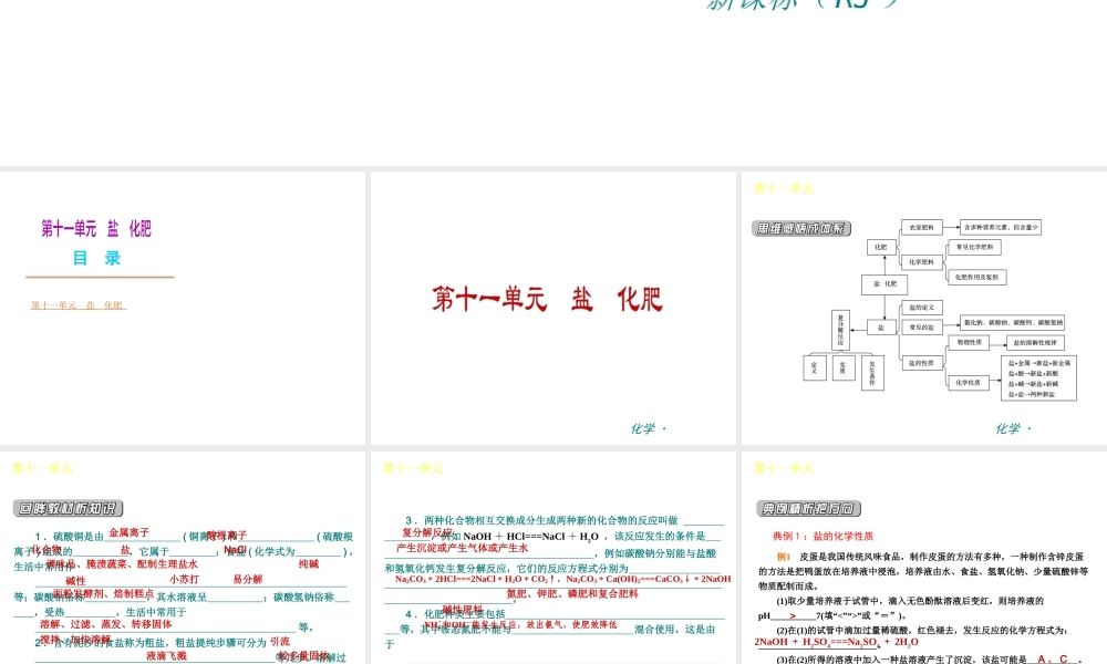 （新课标）九年级化学下册 第十一单元 盐化肥同步课件 （新版）新人教版
