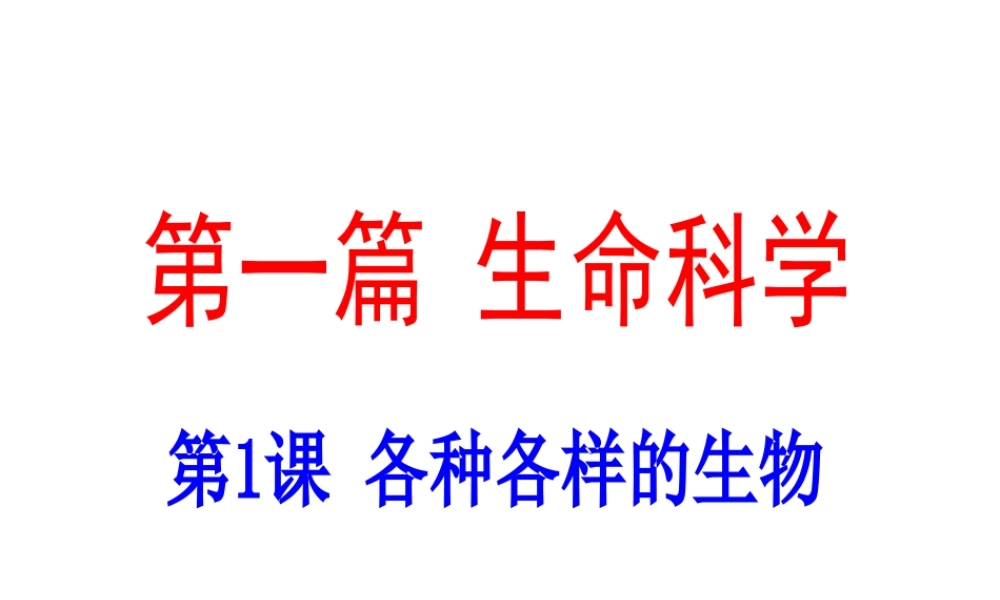 （新课标）浙江省中考科学基础复习 第1课 各种各样的生物课件-人教版初中九年级全册自然科学课件