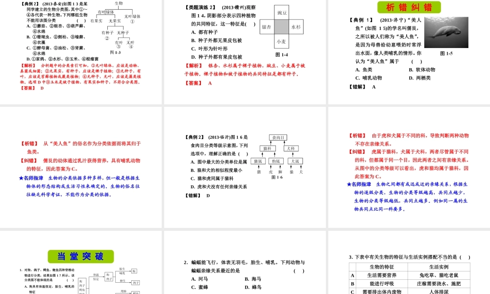 （新课标）浙江省中考科学基础复习 第1课 各种各样的生物课件-人教版初中九年级全册自然科学课件