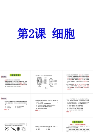 （新课标）浙江省中考科学基础复习 第2课 细胞课件-人教版初中九年级全册自然科学课件
