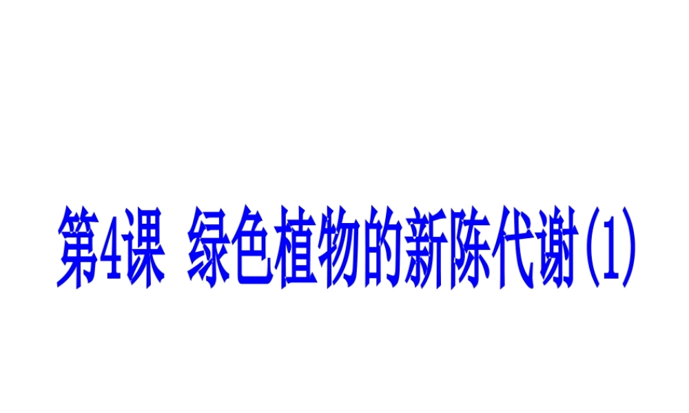 （新课标）浙江省中考科学基础复习 第4课 绿色植物的新陈代谢课件1-人教版初中九年级全册自然科学课件