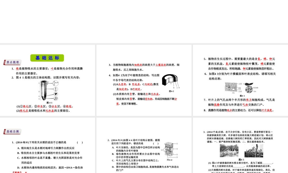 （新课标）浙江省中考科学基础复习 第4课 绿色植物的新陈代谢课件1-人教版初中九年级全册自然科学课件