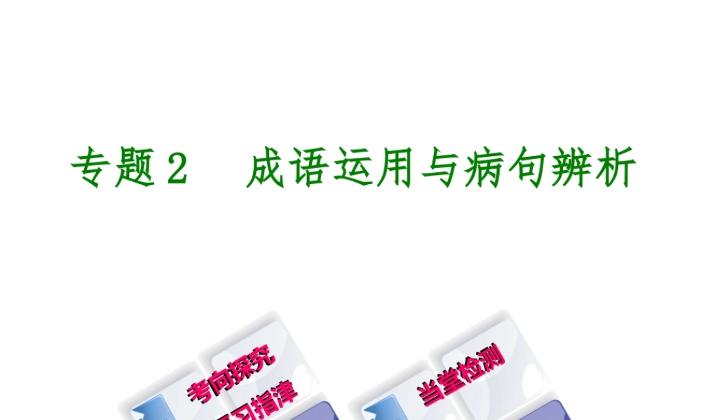 （柳州专版）中考语文 专题2 成语运用与病句辨析复习课件-人教版初中九年级全册语文课件