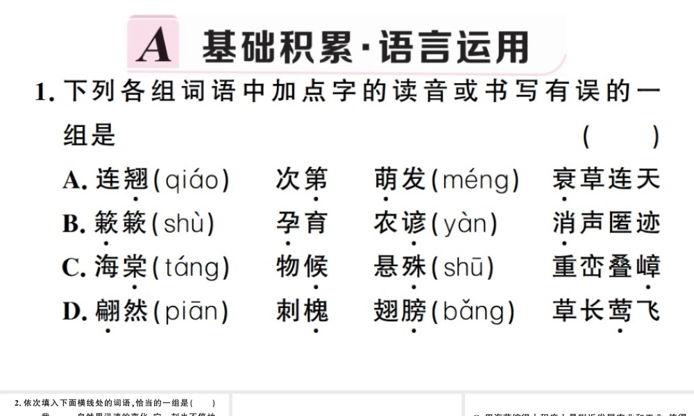 （武汉专版）春八年级语文下册 第二单元 5大自然的语言习题课件 新人教版-新人教版初中八年级下册语文课件