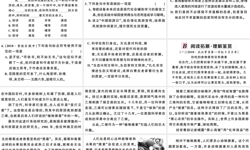 （武汉专版）春八年级语文下册 第二单元 5大自然的语言习题课件 新人教版-新人教版初中八年级下册语文课件