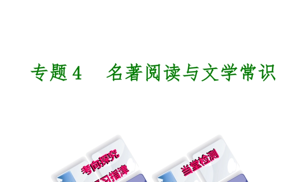 （柳州专版）中考语文 专题4 名著阅读与文学常识复习课件-人教版初中九年级全册语文课件