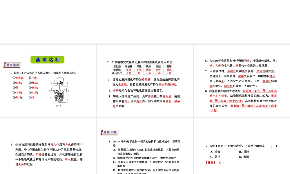 （新课标）浙江省中考科学基础复习 第6课 人体和其他生物的新陈代谢课件1-人教版初中九年级全册自然科学课件