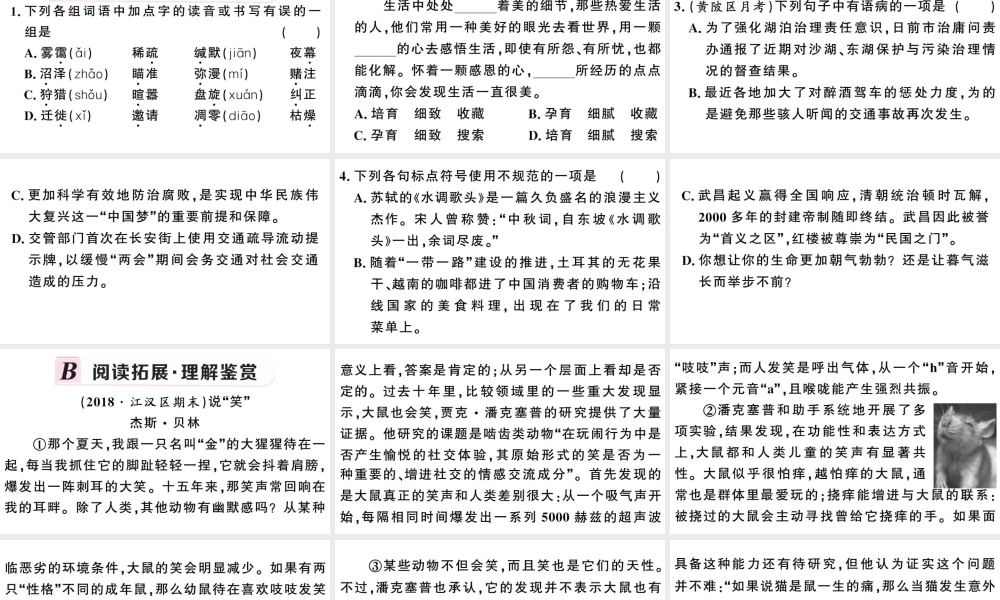 （武汉专版）春八年级语文下册 第二单元 7大雁归来习题课件 新人教版-新人教版初中八年级下册语文课件