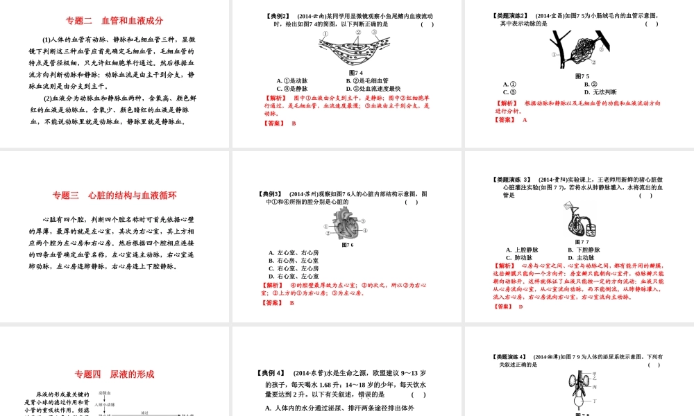 （新课标）浙江省中考科学基础复习 第7课 人体和其他生物的新陈代谢课件2-人教版初中九年级全册自然科学课件