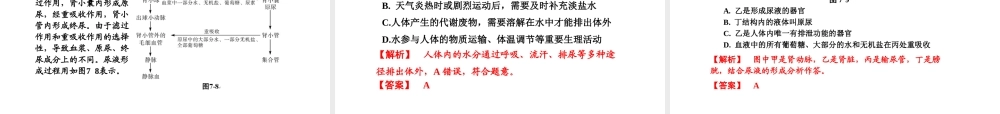（新课标）浙江省中考科学基础复习 第7课 人体和其他生物的新陈代谢课件2-人教版初中九年级全册自然科学课件