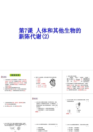 （新课标）浙江省中考科学基础复习 第7课 人体和其他生物的新陈代谢课件2-人教版初中九年级全册自然科学课件