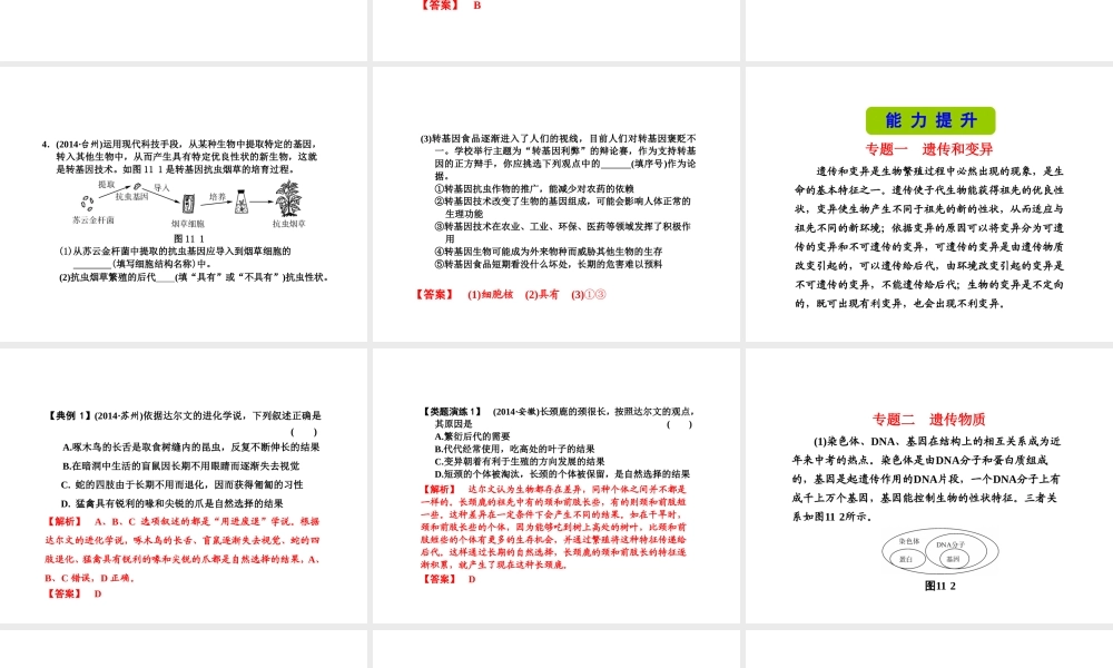 （新课标）浙江省中考科学基础复习 第11课 遗传与进化课件-人教版初中九年级全册自然科学课件