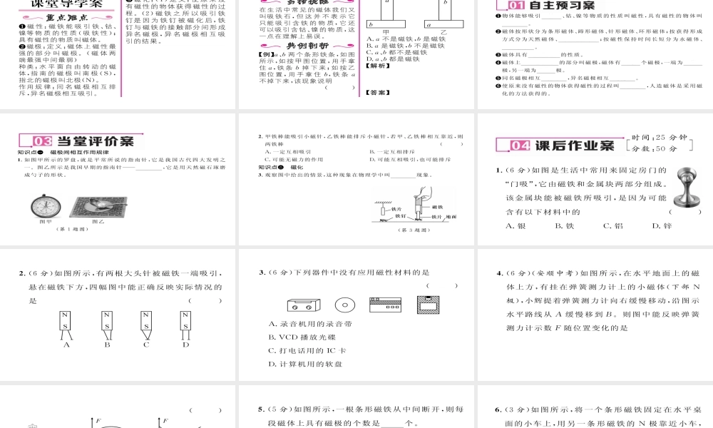 （毕节专版）九年级物理全册 第20章 第1节 磁现象 磁场（第1课时 磁现象）作业课件 （新版）新人教版-（新版）新人教版初中九年级全册物理课件