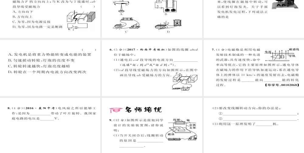 （毕节专版）九年级物理全册 第20章 第4节 电动机作业课件 （新版）新人教版-（新版）新人教版初中九年级全册物理课件