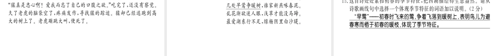 （柳州专用）八年级语文上册 第五单元习题课件 新人教版-新人教版初中八年级上册语文课件
