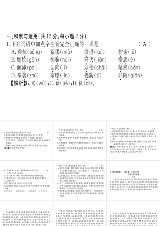 （柳州专用）八年级语文上册 期中习题课件 新人教版-新人教版初中八年级上册语文课件