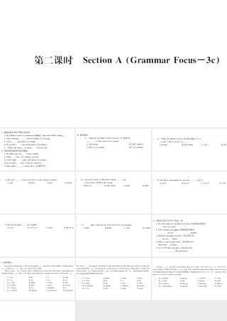 （武汉专版）秋八年级英语上册 Unit 5 Do you want to watch a game show第二课时习题课件（新版）人教新目标版-（新版）人教新目标版初中八年级上册英语课件