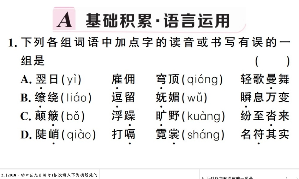 （武汉专版）春八年级语文下册 第五单元 19 登勃朗峰习题课件 新人教版-新人教版初中八年级下册语文课件