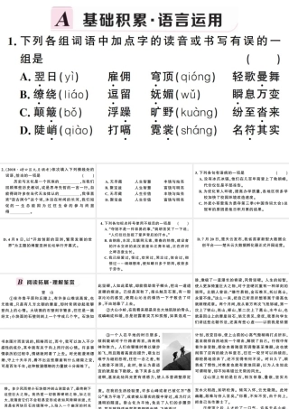 （武汉专版）春八年级语文下册 第五单元 19 登勃朗峰习题课件 新人教版-新人教版初中八年级下册语文课件