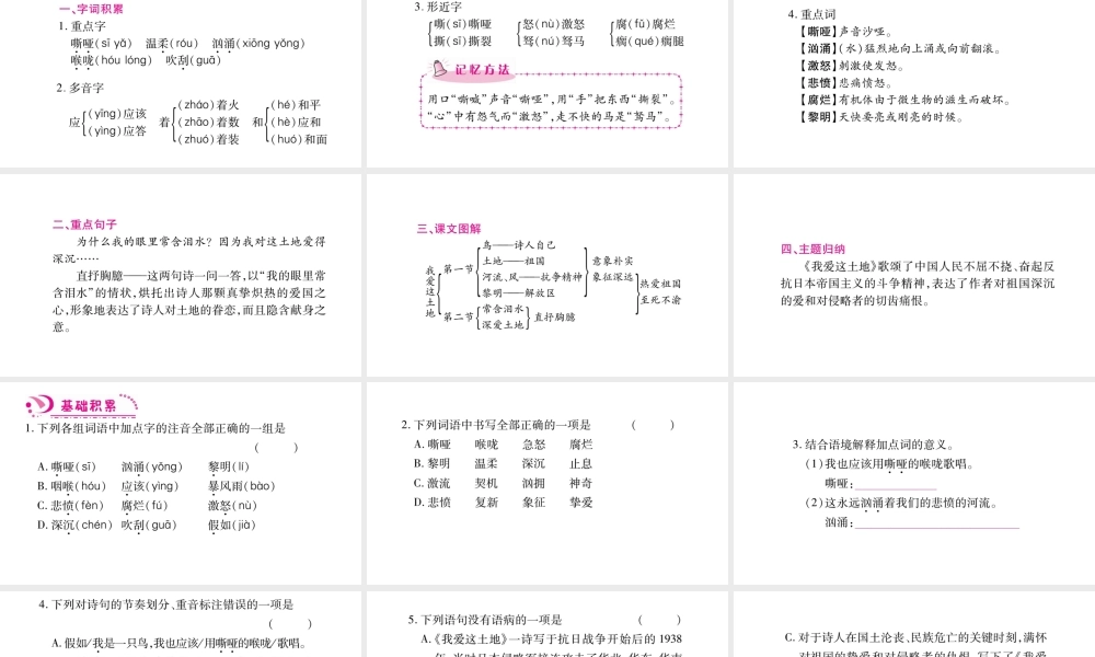 （毕节专版）九年级语文上册 第1单元 2 我爱这土地习题课件 新人教版-新人教版初中九年级上册语文课件