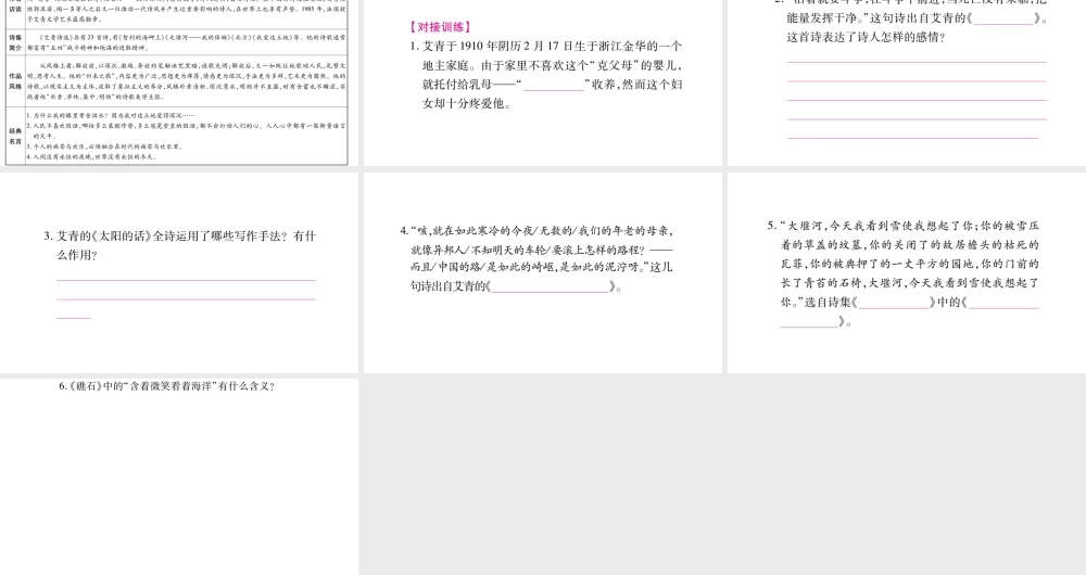 （毕节专版）九年级语文上册 第1单元 名著导读（一）《艾青诗选》如何读诗习题课件 新人教版-新人教版初中九年级上册语文课件