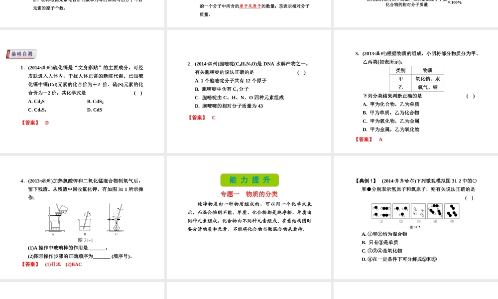 （新课标）浙江省中考科学基础复习 第31课 物质的分类课件-人教版初中九年级全册自然科学课件