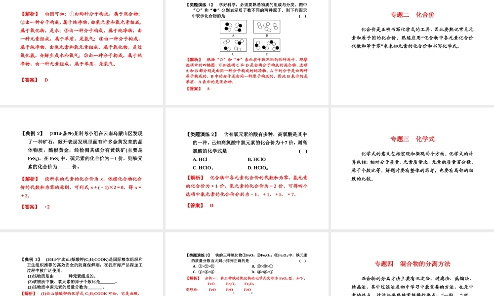 （新课标）浙江省中考科学基础复习 第31课 物质的分类课件-人教版初中九年级全册自然科学课件